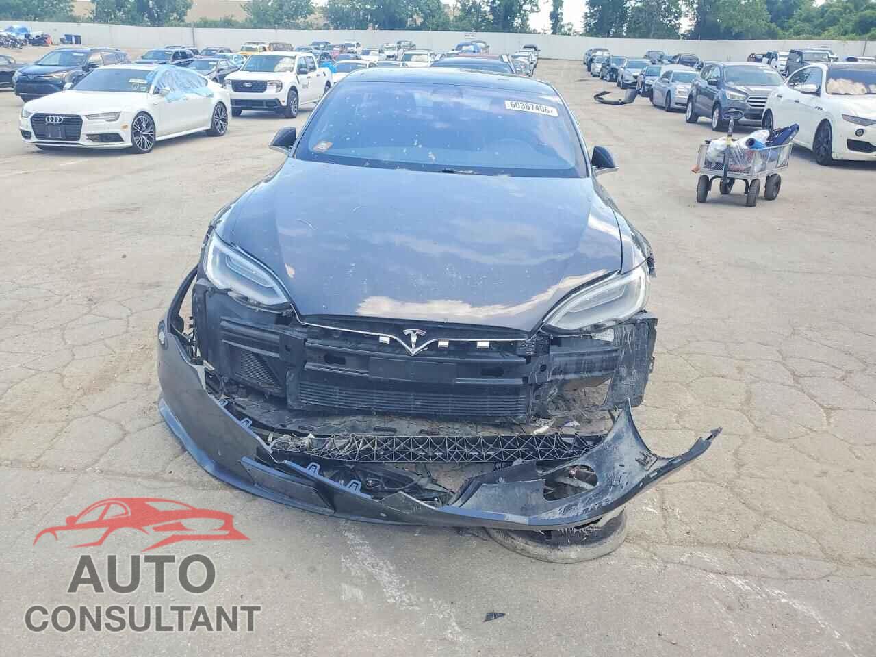 TESLA MODEL S 2019 - 5YJSA1E25KF331117