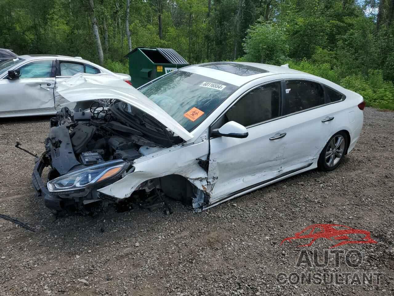 HYUNDAI SONATA 2019 - 5NPE34AF0KH789036