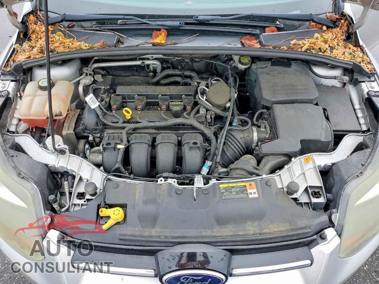 FORD FOCUS 2013 - 1FADP3N28DL249682