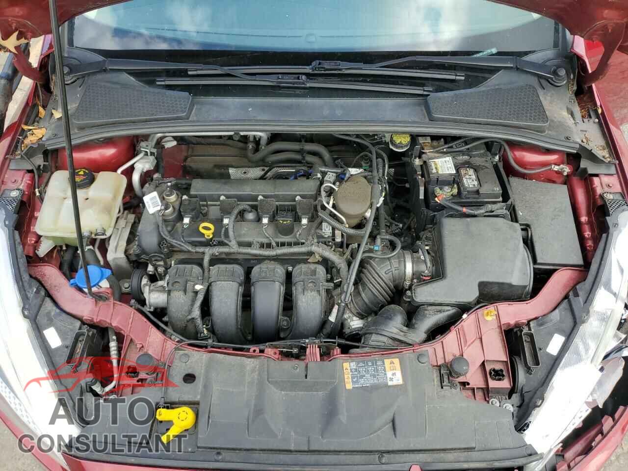 FORD FOCUS 2015 - 1FADP3K29FL381776