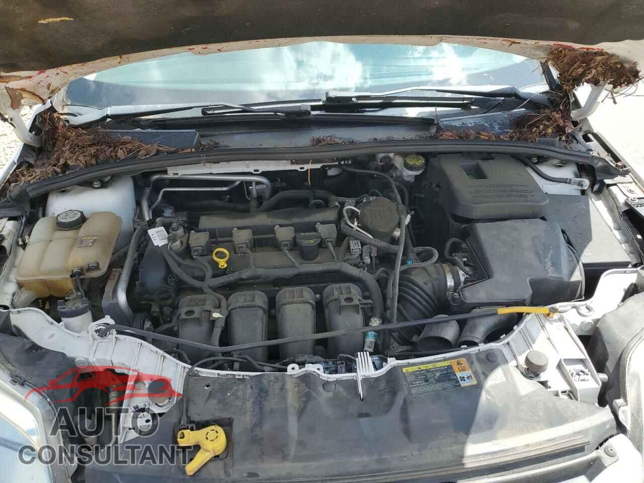 FORD FOCUS 2012 - 1FAHP3K21CL229648