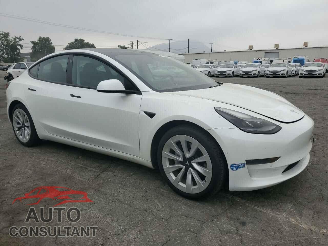 TESLA MODEL 3 2021 - 5YJ3E1EA1MF028709