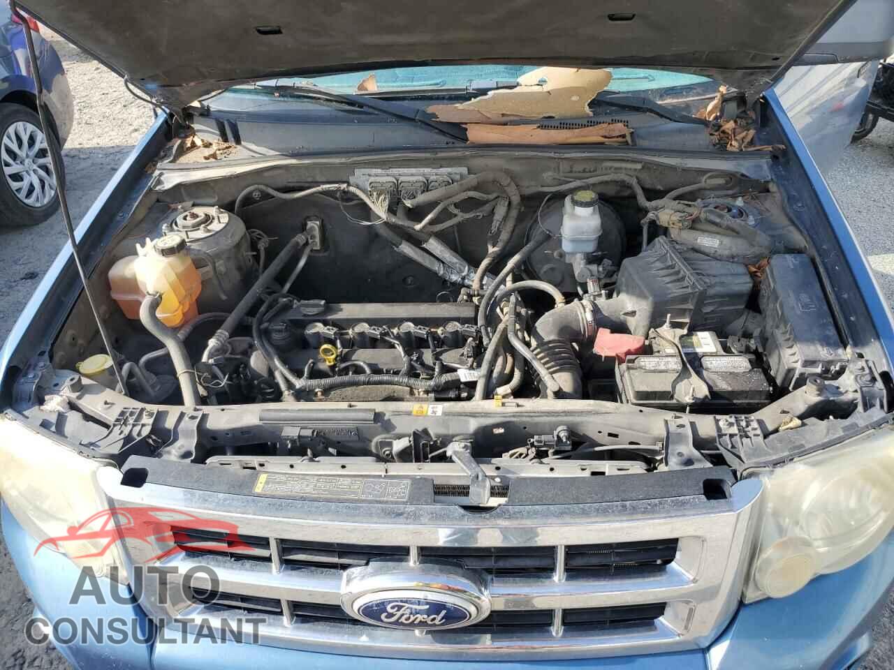 FORD ESCAPE 2010 - 1FMCU0D79AKB02049