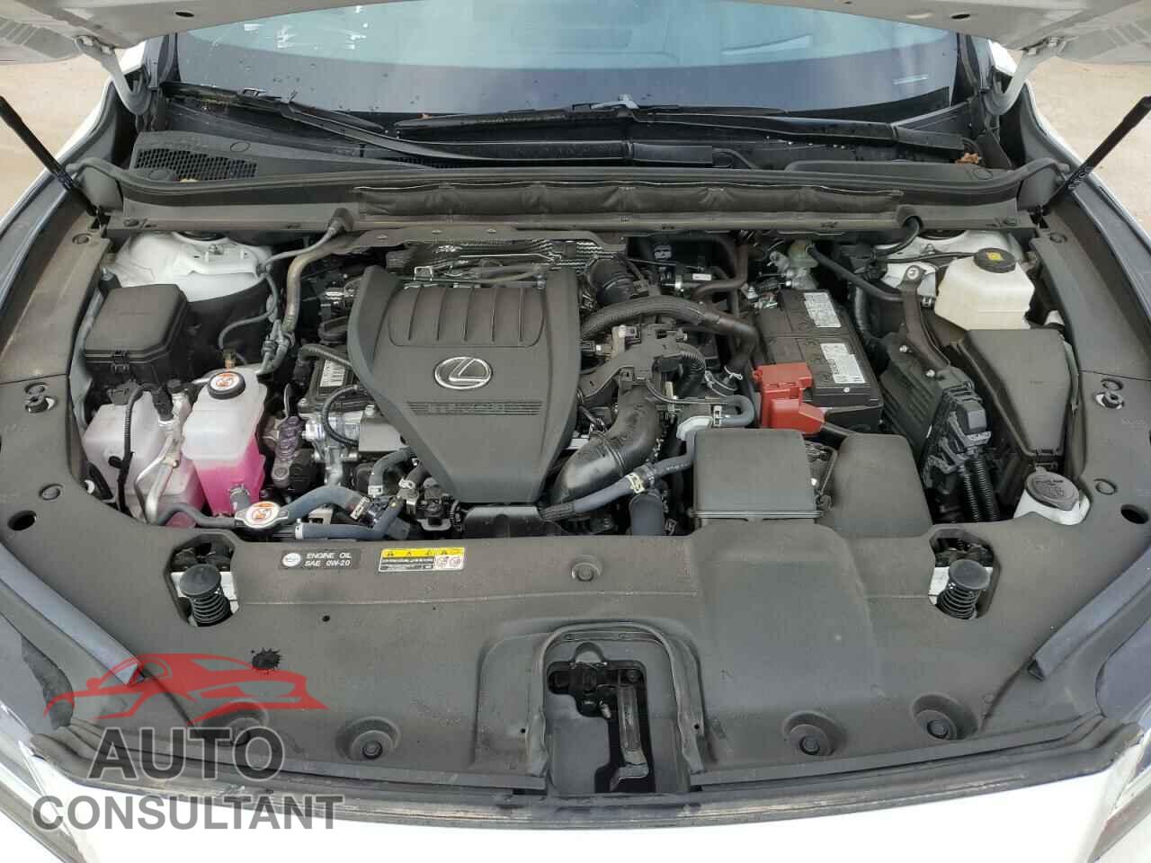 LEXUS RX350 2023 - 2T2BAMBA1PC016366