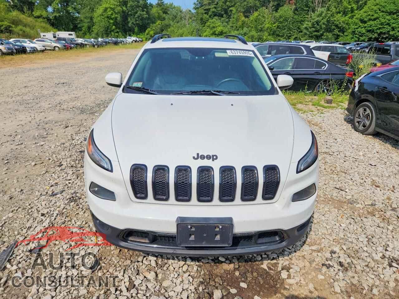 JEEP CHEROKEE 2016 - 1C4PJMDSXGW368739