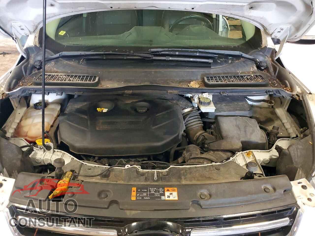 FORD ESCAPE 2014 - 1FMCU9J94EUD61648