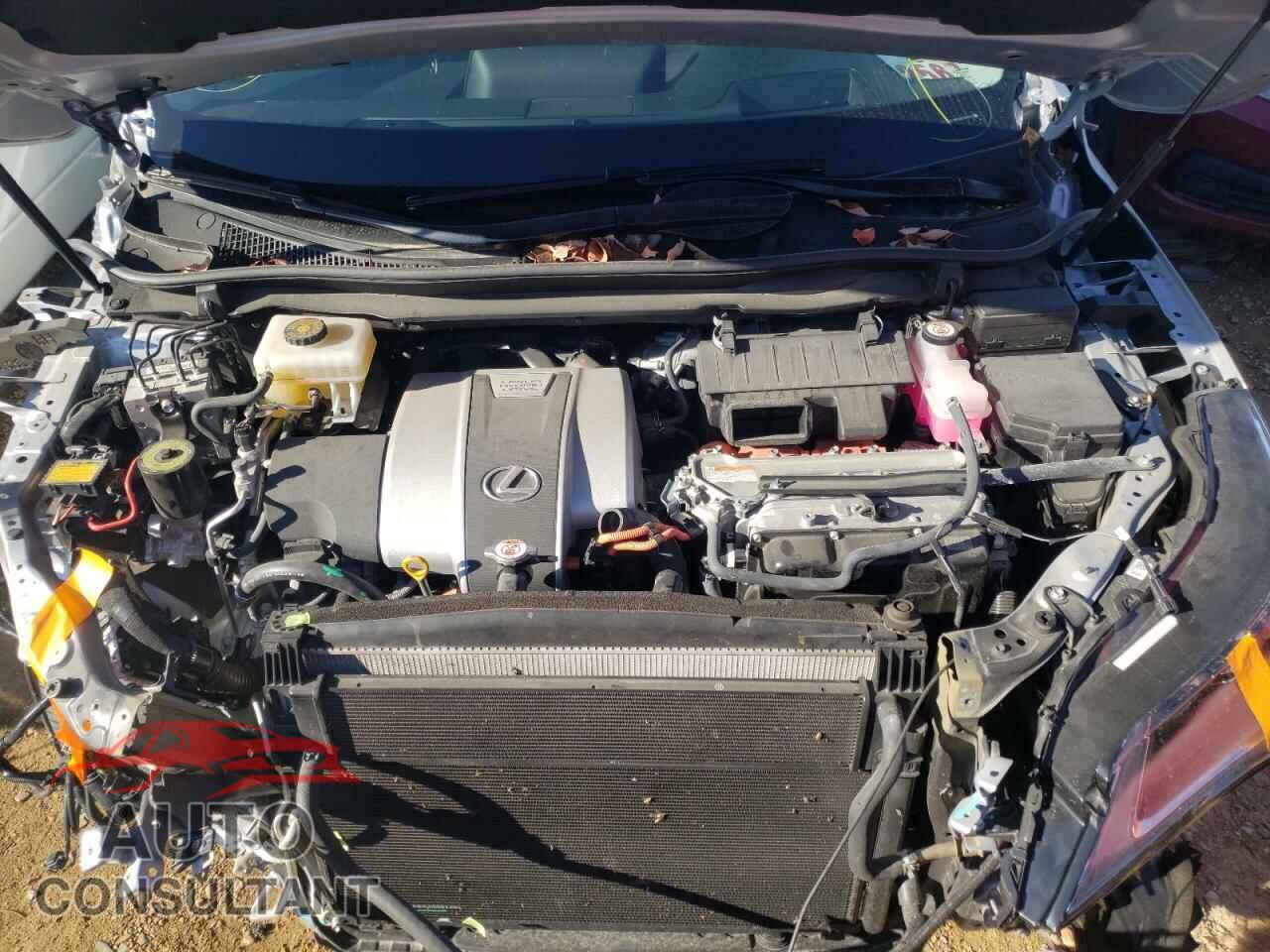 LEXUS RX450 2019 - 2T2BGMCA3KC031814