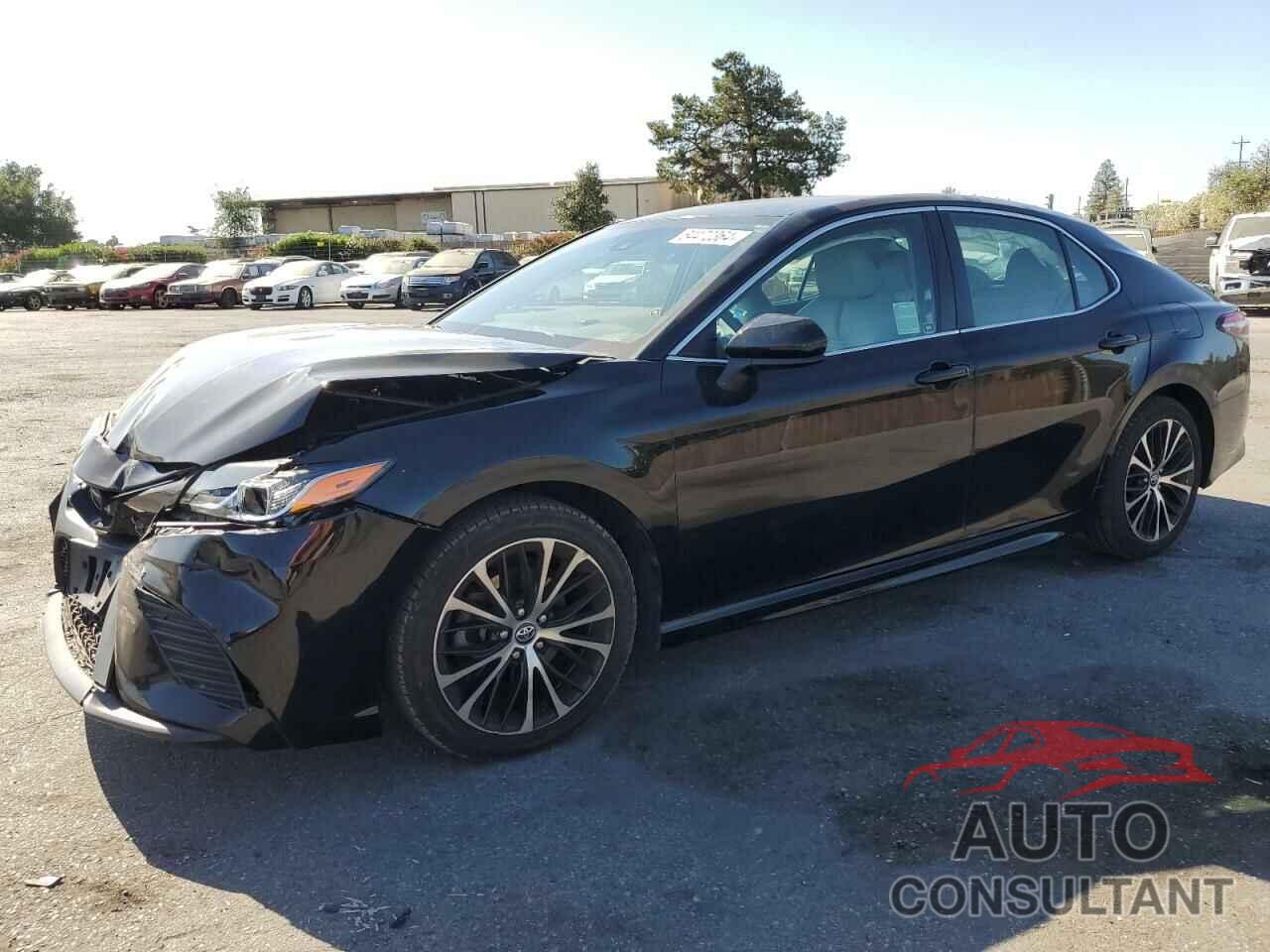 TOYOTA CAMRY 2019 - 4T1B11HK0KU710752