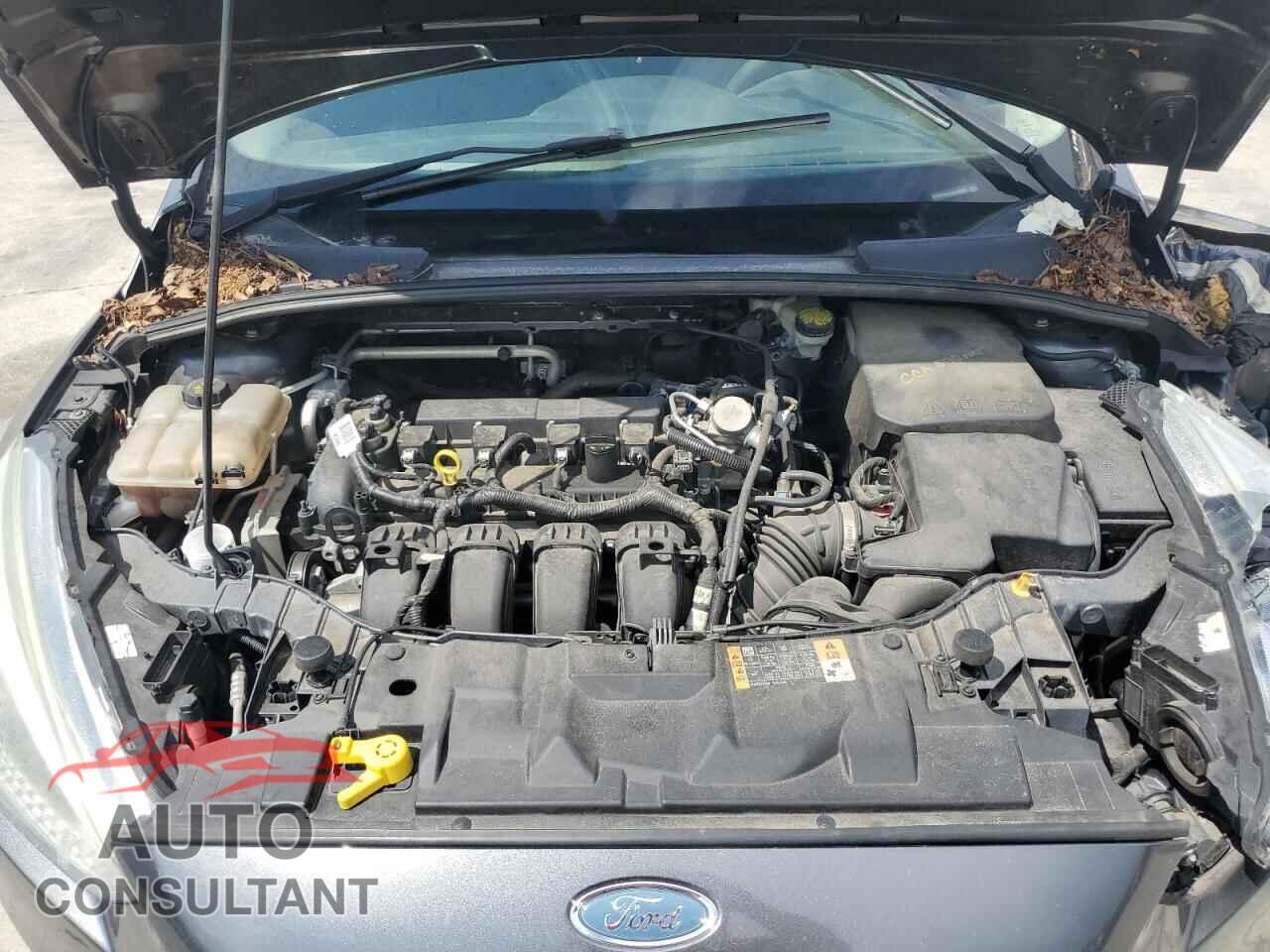 FORD FOCUS 2016 - 1FADP3E29GL402316