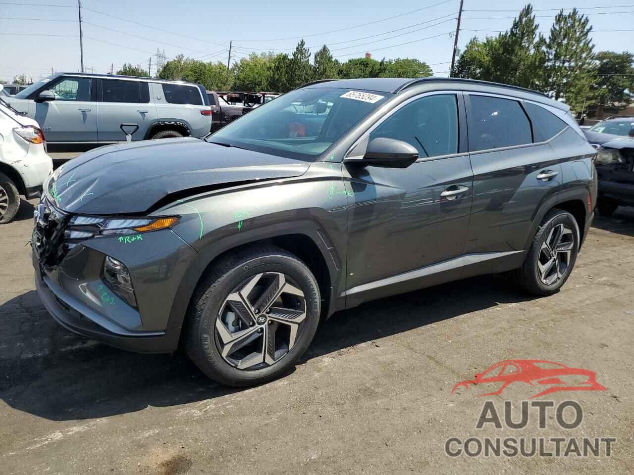 HYUNDAI TUCSON 2024 - KM8JBDD28RU205715