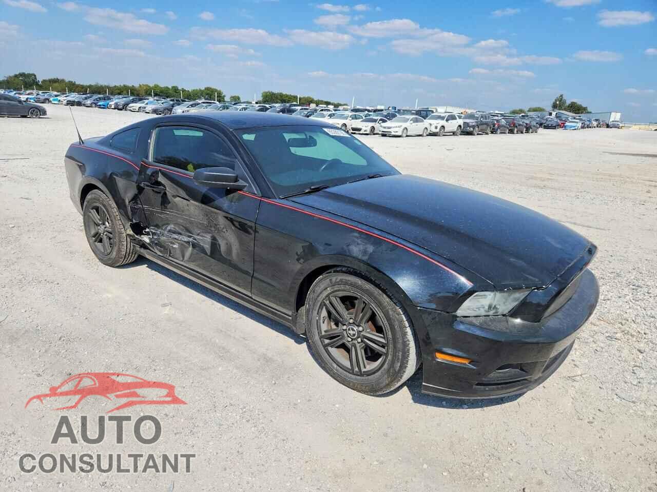 FORD MUSTANG 2014 - 1ZVBP8AMXE5207653