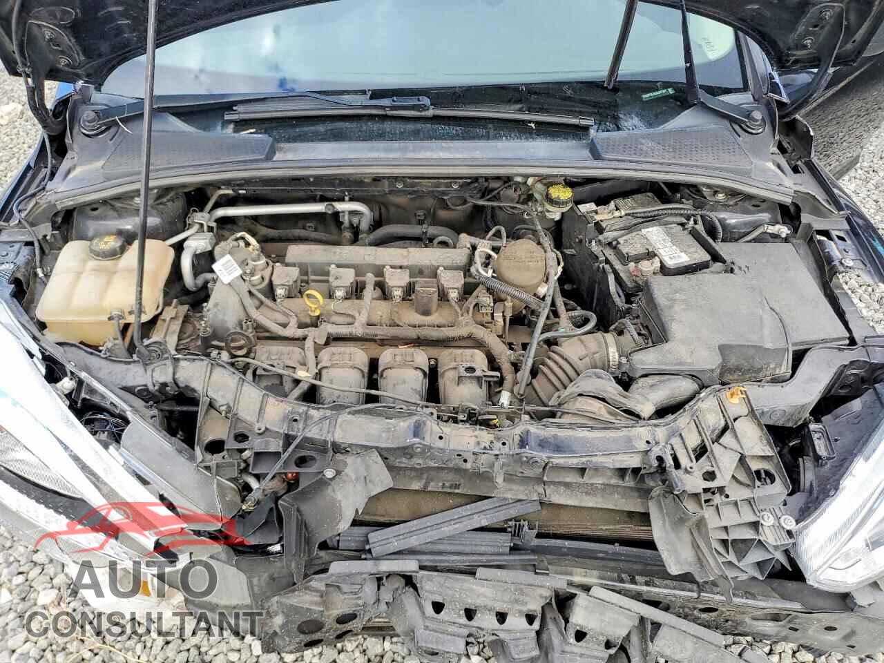 FORD FOCUS 2016 - 1FADP3E2XGL247307