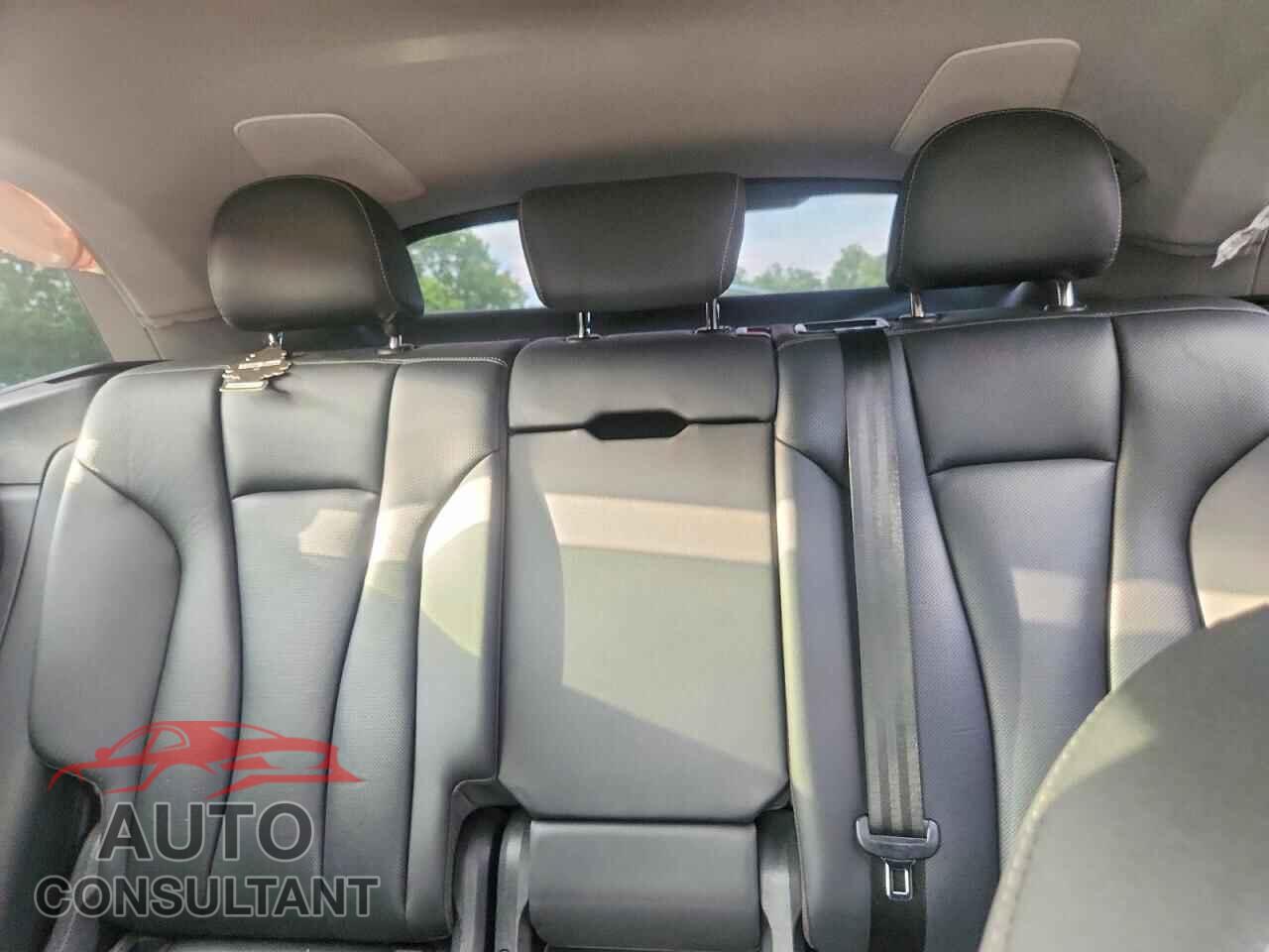 AUDI Q8 2019 - WA1EVAF10KD012751