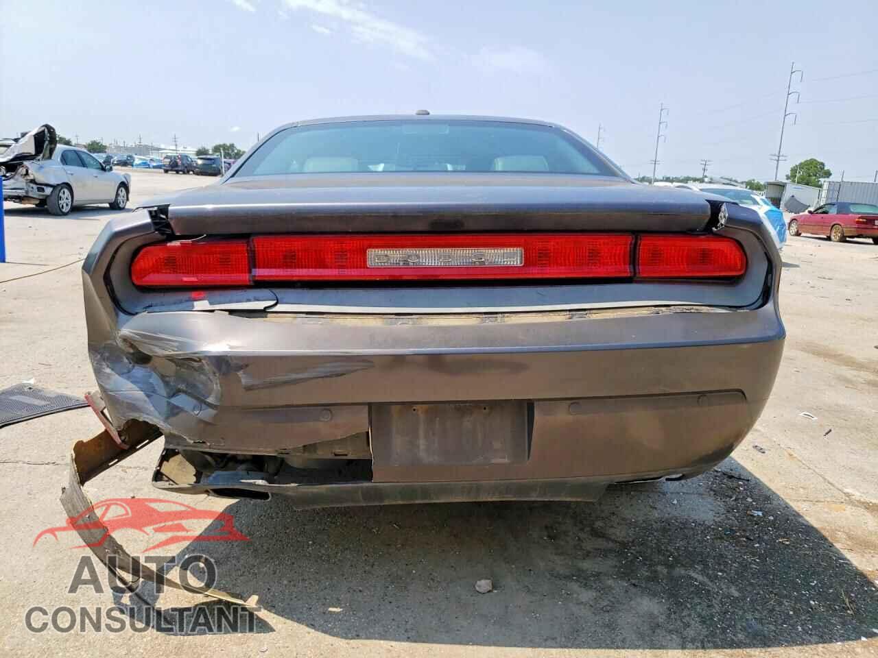 DODGE CHALLENGER 2013 - 2C3CDYAG0DH599726