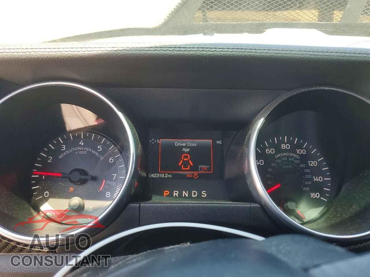 FORD MUSTANG 2019 - 1FA6P8CF6K5146709