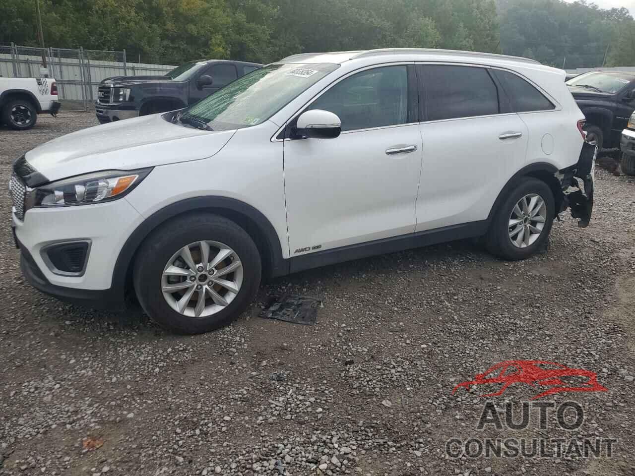 KIA SORENTO 2017 - 5XYPGDA52HG198002