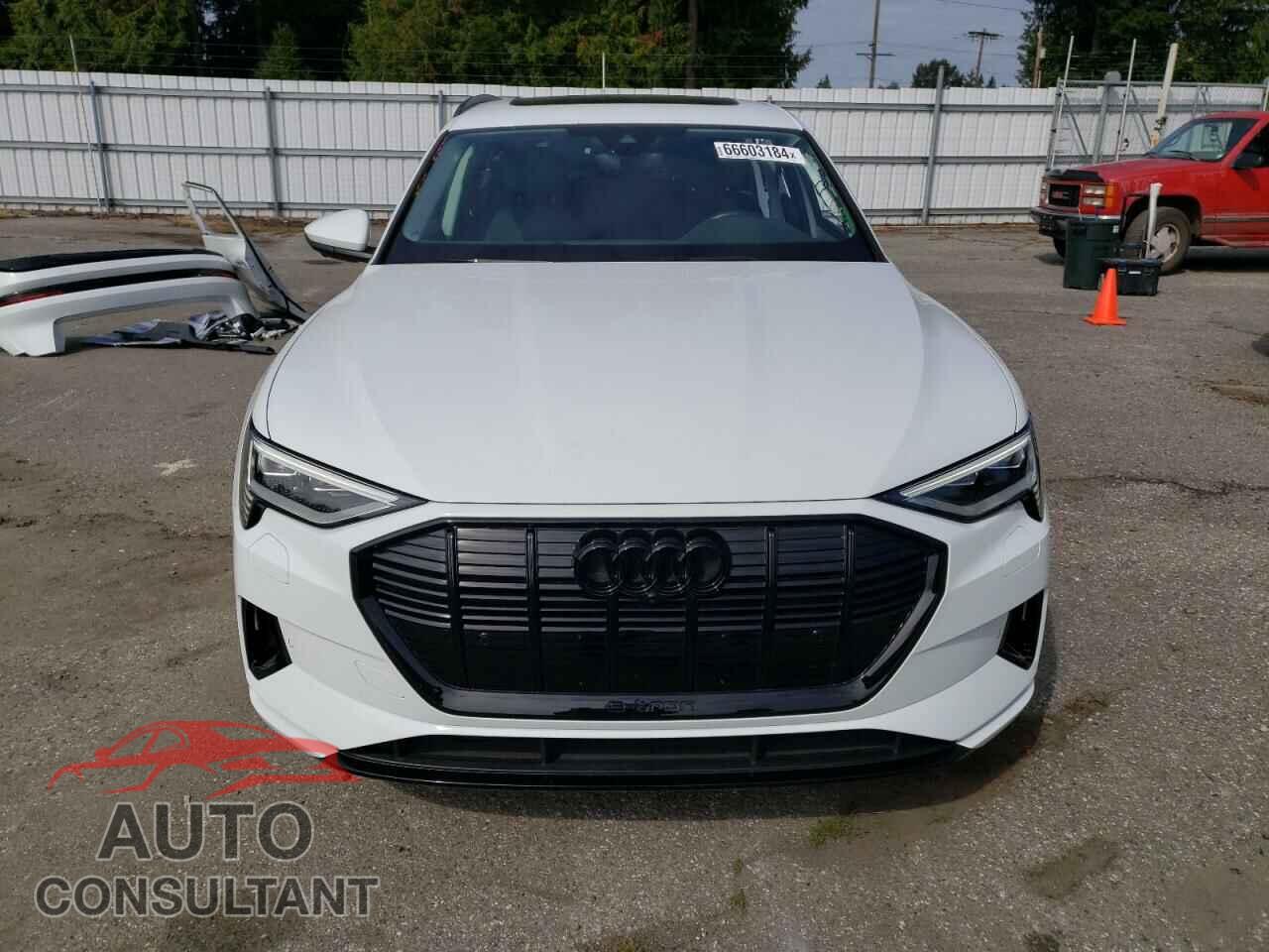 AUDI E-TRON 2022 - WA1AAAGE0NB044501