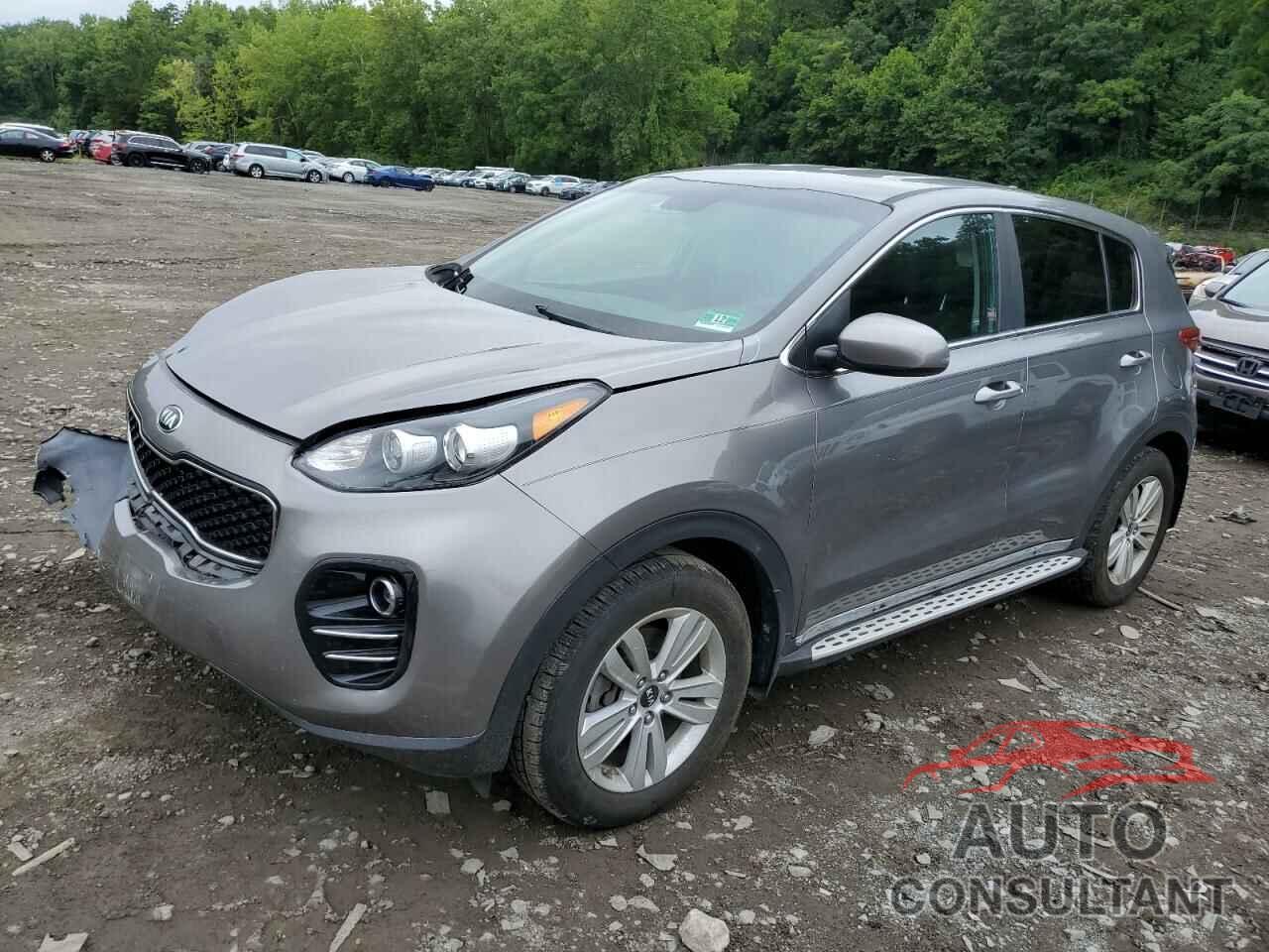 KIA SPORTAGE 2017 - KNDPMCAC2H7299247