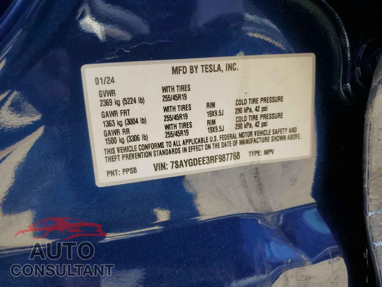 TESLA MODEL Y 2024 - 7SAYGDEE3RF987768