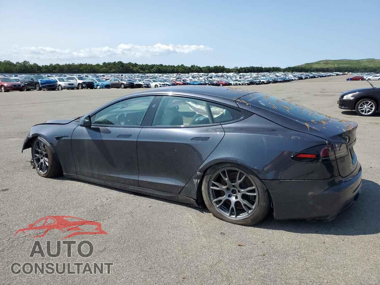TESLA MODEL S 2024 - 5YJSA1E59RF537173