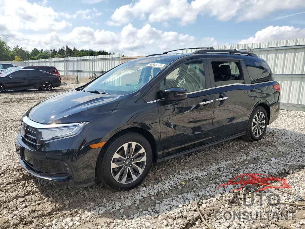 HONDA All Models 2022 - 5FNRL6H71NB032838