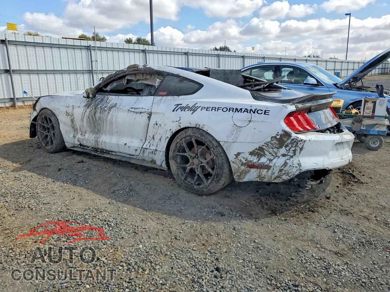 FORD MUSTANG 2019 - 1FA6P8CF2K5161367