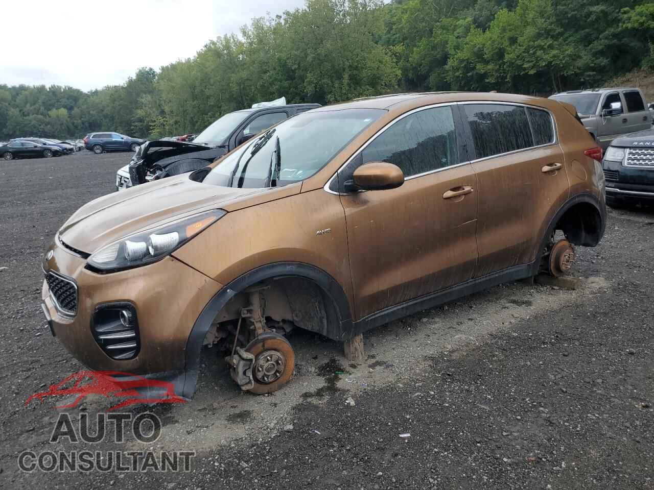 KIA SPORTAGE 2017 - KNDPMCAC0H7087687