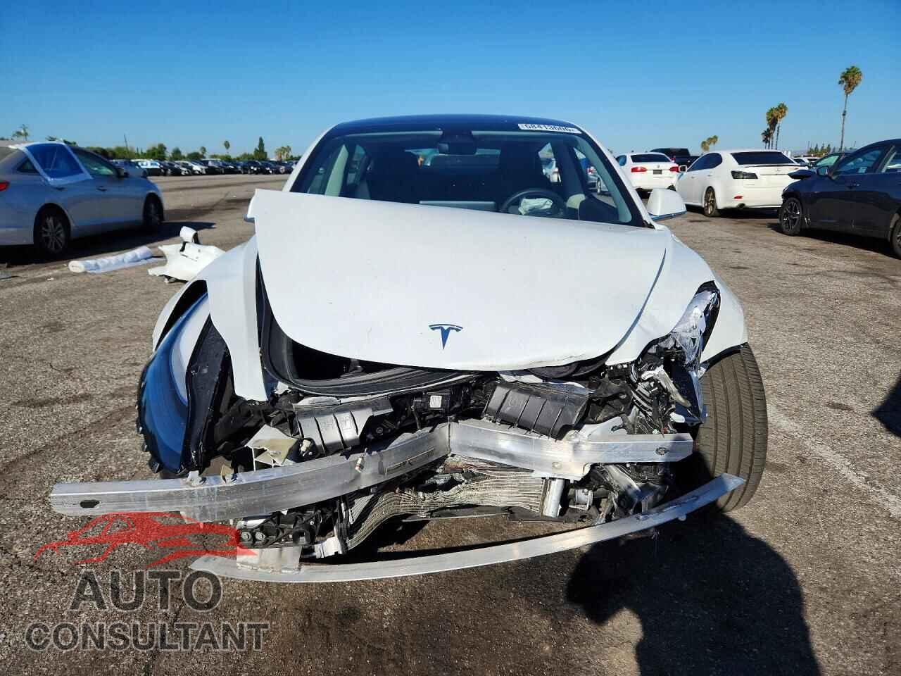 TESLA MODEL 3 2019 - 5YJ3E1EB3KF511222