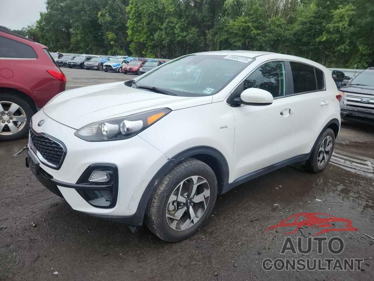 KIA SPORTAGE 2022 - KNDPMCAC2N7002814