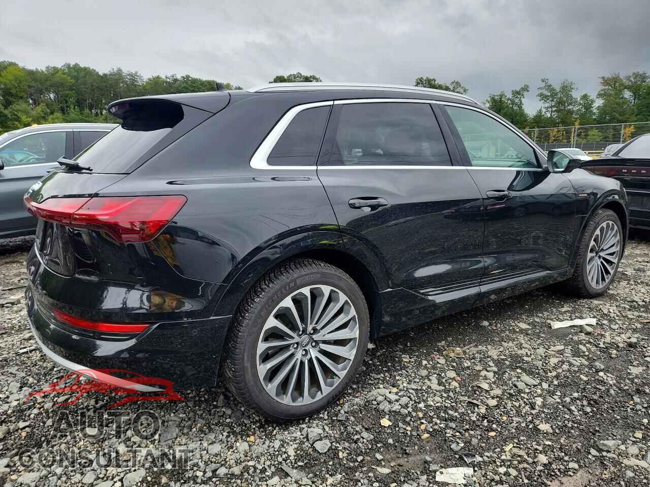 AUDI E-TRON 2019 - WA1VAAGE9KB025085