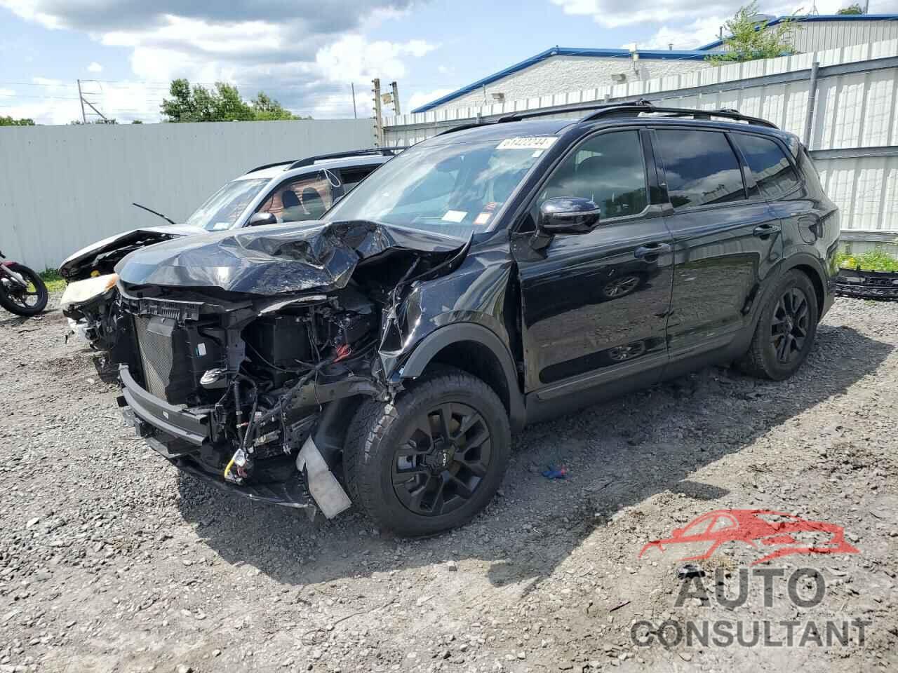 KIA TELLURIDE 2023 - 5XYP5DGC9PG331686