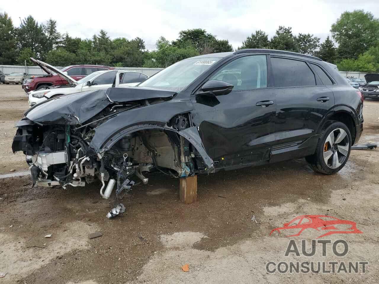 AUDI E-TRON 2023 - WA1LAAGE4PB005308