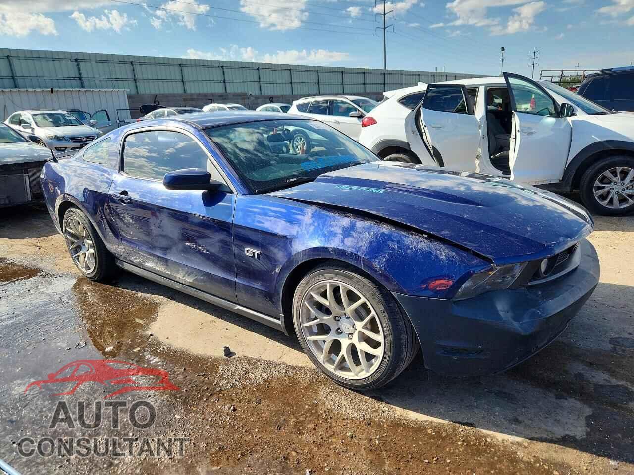 FORD MUSTANG 2010 - 1ZVBP8CH7A5117516