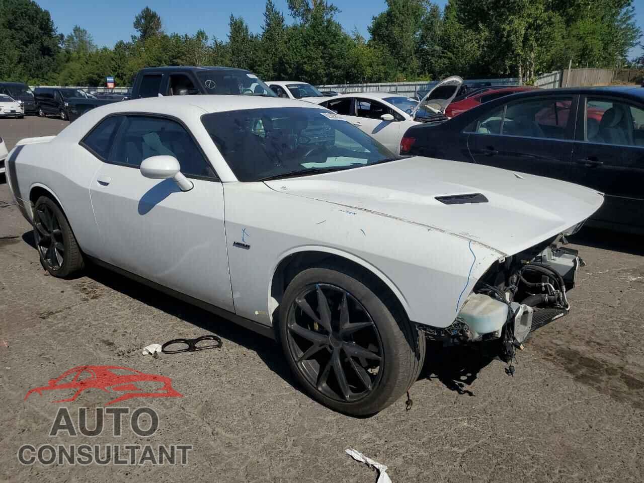 DODGE CHALLENGER 2018 - 2C3CDZBT2JH228287