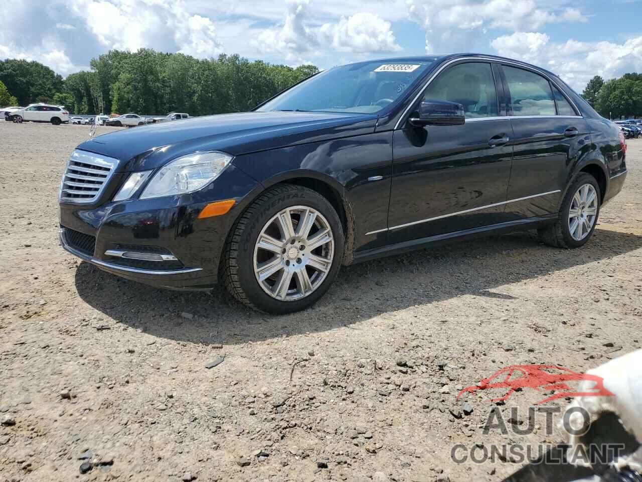 MERCEDES-BENZ E-CLASS 2012 - WDDHF2EB8CA524427