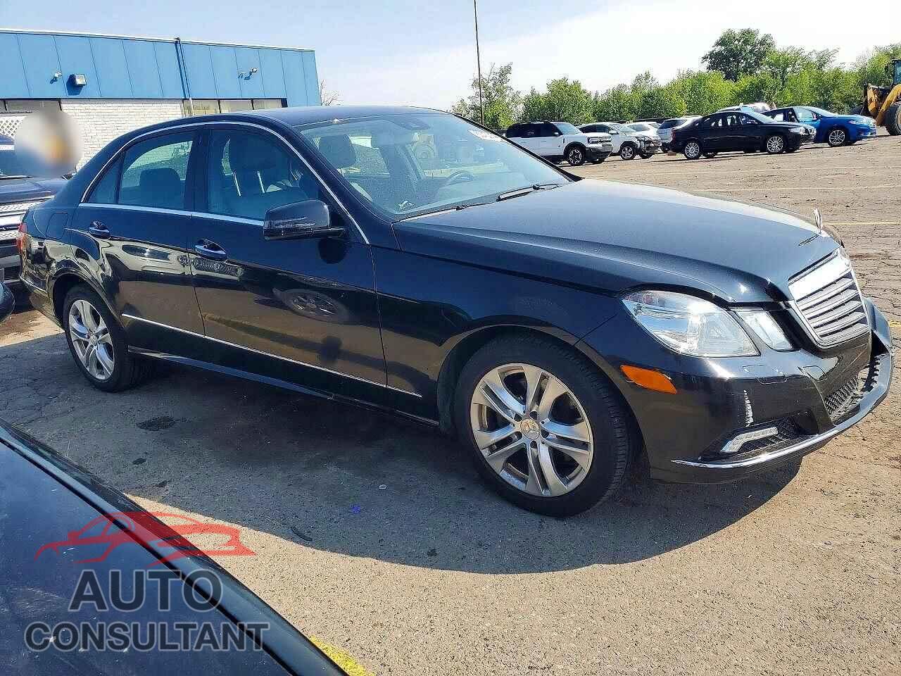 MERCEDES-BENZ E-CLASS 2010 - WDDHF8HBXAA098834