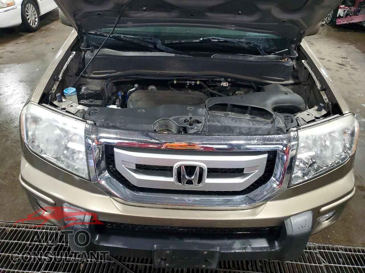 HONDA PILOT 2011 - 5FNYF4H76BB020266