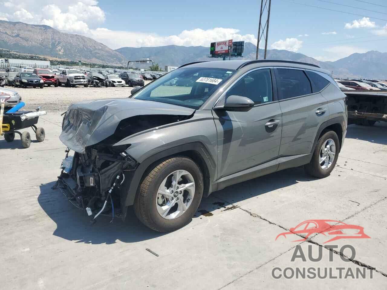 HYUNDAI TUCSON 2024 - 5NMJBCDE1RH366679