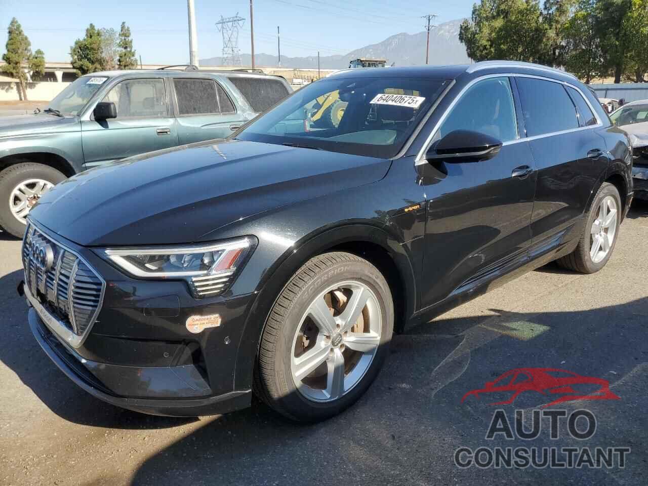 AUDI E-TRON 2019 - WA1LAAGE5KB021414