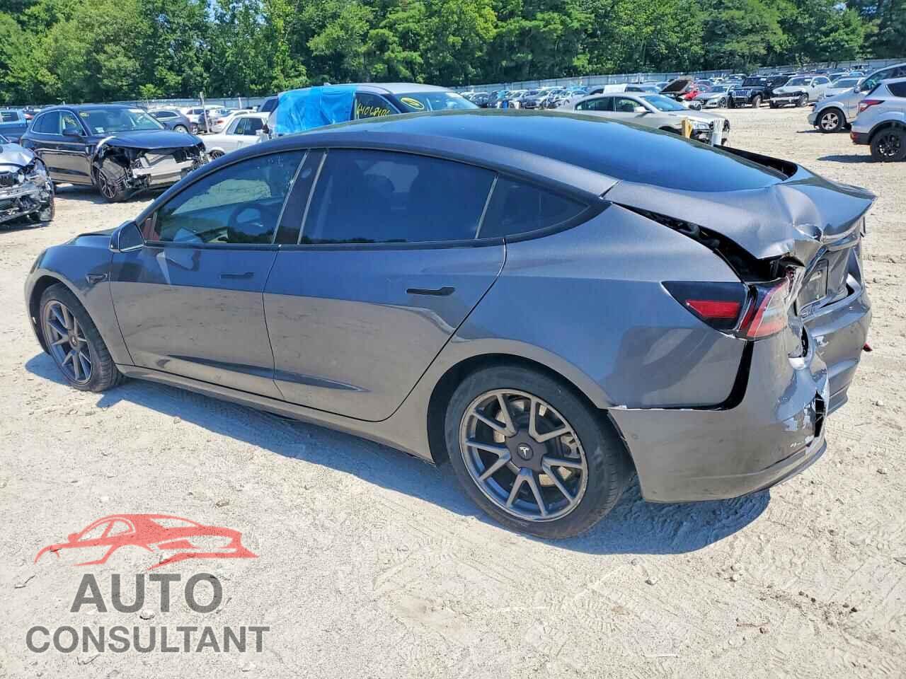 TESLA MODEL 3 2021 - 5YJ3E1EA9MF083022