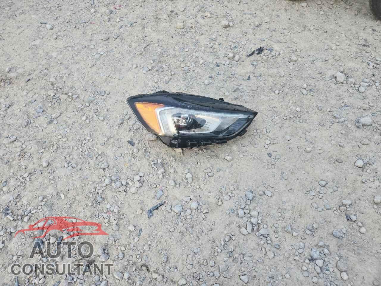 FORD EDGE 2020 - 2FMPK4K94LBA76704