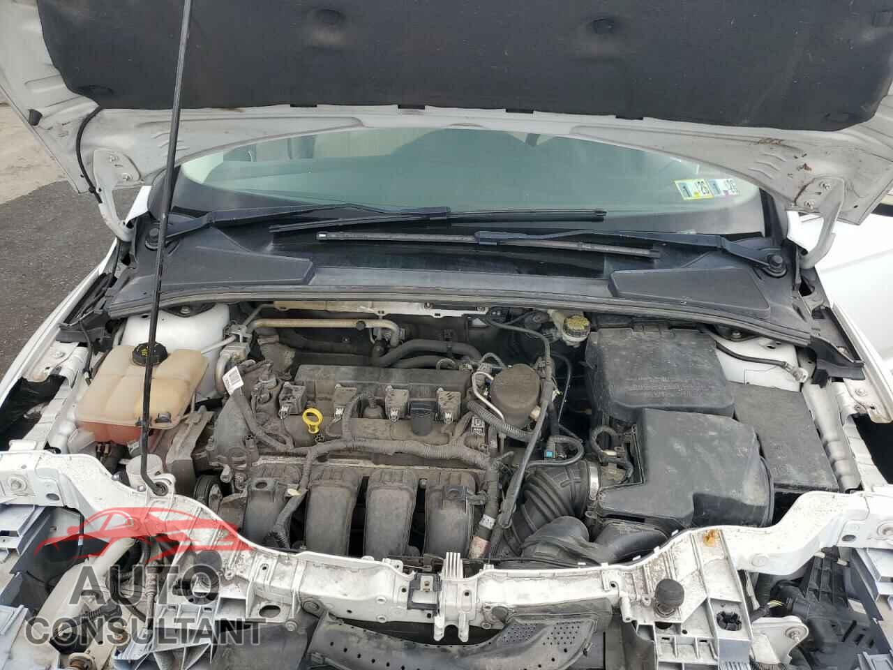 FORD FOCUS 2016 - 1FADP3K25GL304131