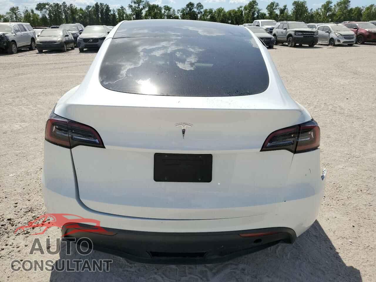 TESLA MODEL Y 2024 - 7SAYGDEDXRF044347