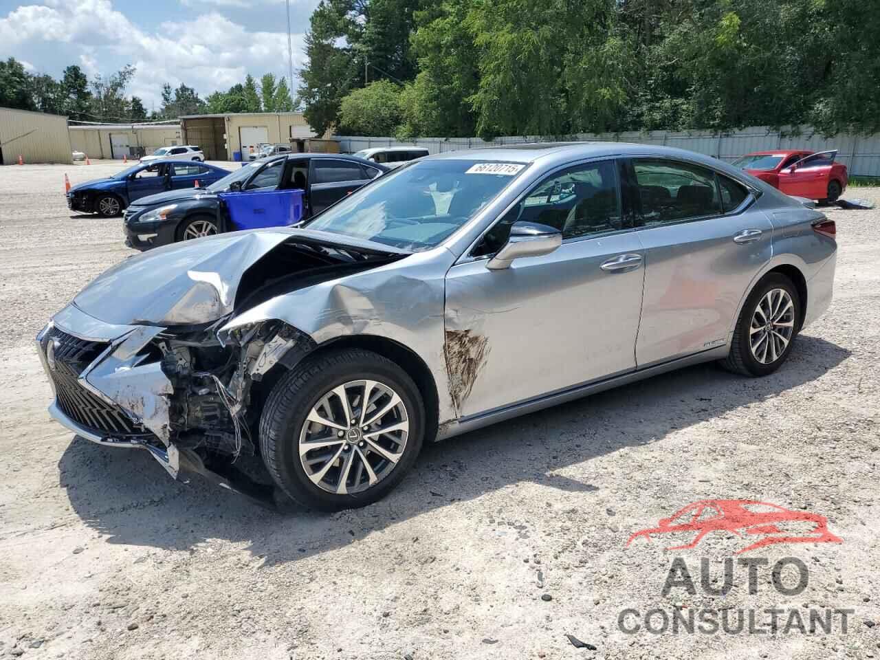 LEXUS ES300 2022 - 58ADA1C17NU014359