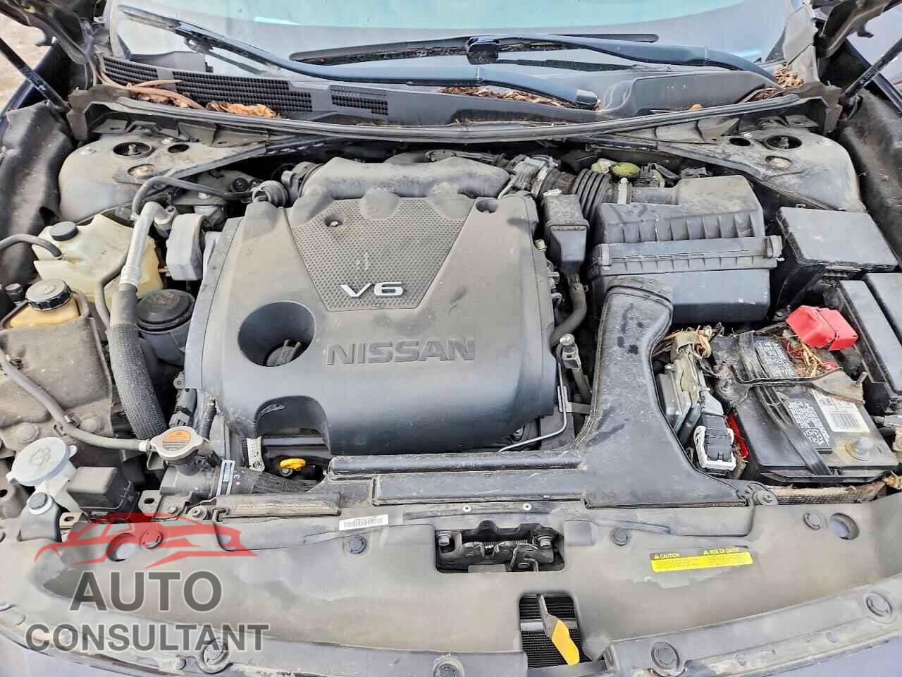 NISSAN MAXIMA 2017 - 1N4AA6AP1HC381745