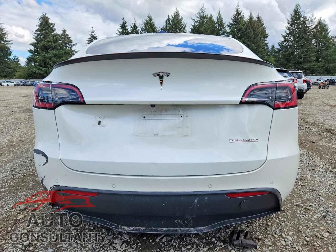 TESLA MODEL Y 2022 - 7SAYGDEF2NF552825