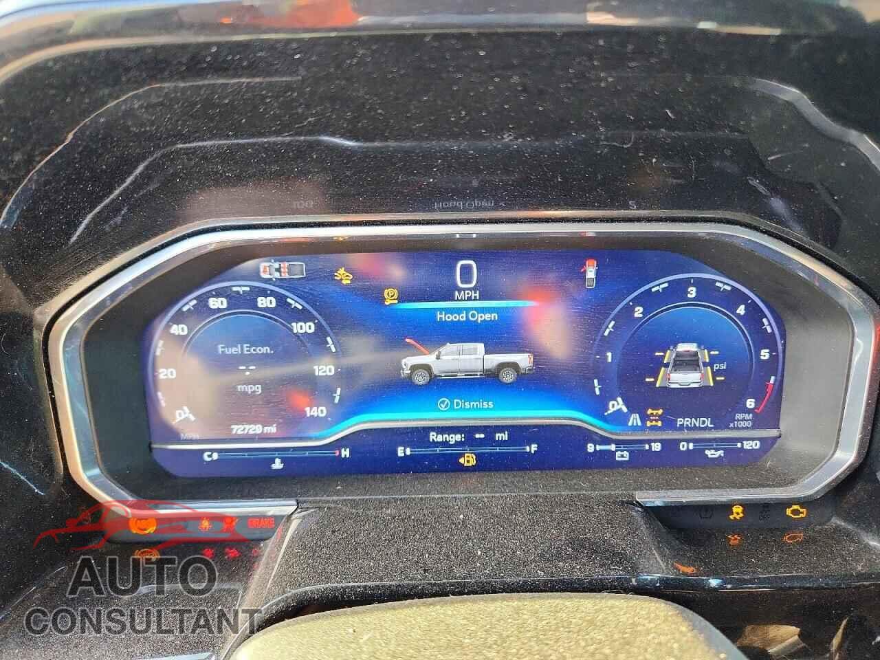 CHEVROLET SILVERADO 2024 - 1GC4YNE76RF101129