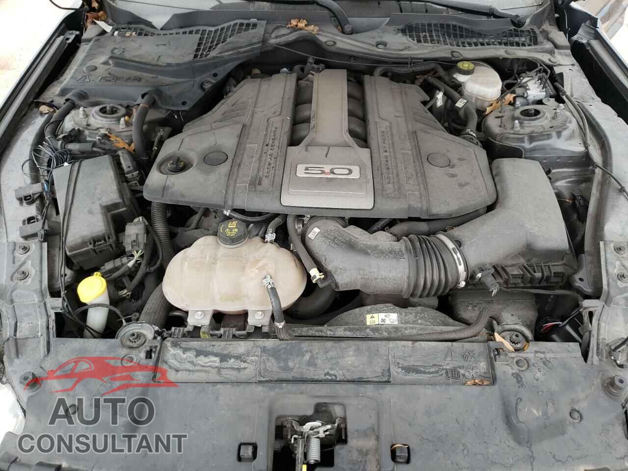FORD MUSTANG 2018 - 1FA6P8CF0J5144727