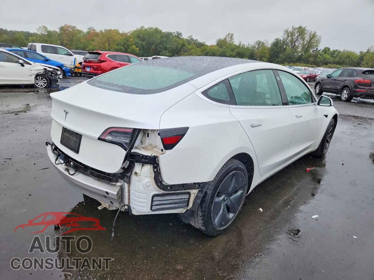 TESLA MODEL 3 2019 - 5YJ3E1EA7KF484033