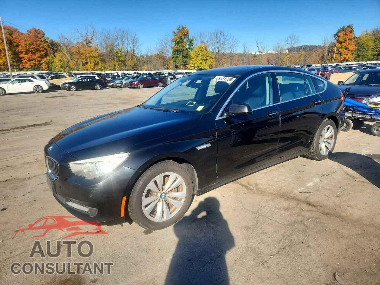 BMW 5 SERIES 2010 - WBASN2C55AC200463